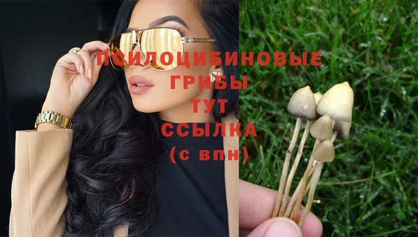 а пвп мука Новозыбков