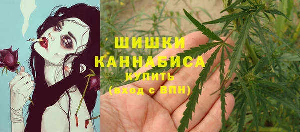 гашик Нефтекумск