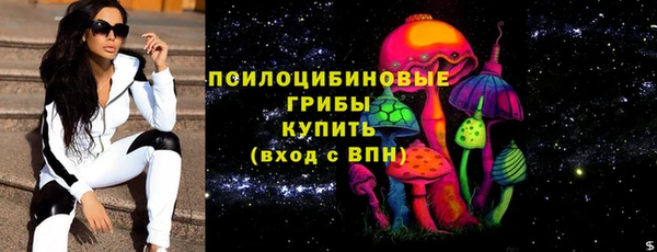 метадон Новодвинск